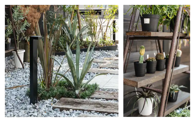 モデルガーデンイメージB